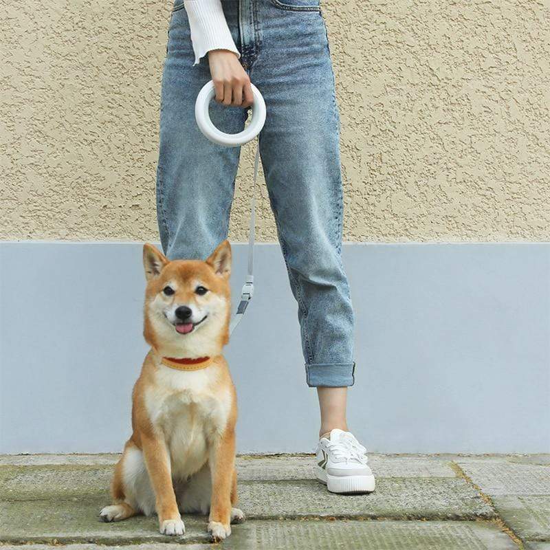 Revolight Home Luxurious Retractable Dog Leash Ring Led Lighting Flexible Pet Lead 3.0m length