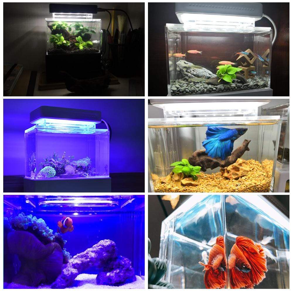 Mini 1L Plastic Blue LED Portable Fish Tank Aquarium with USB