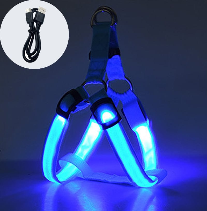 Revolight Luminous Dog Harness Chargeable Blue / XS Luminous Dog Harness - Safe LED - Dog Harness - Pet Dog Accessories