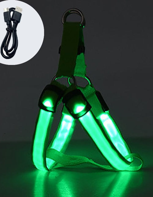 Load image into Gallery viewer, Revolight Luminous Dog Harness Chargeable Green / XS Luminous Dog Harness - Safe LED - Dog Harness - Pet Dog Accessories
