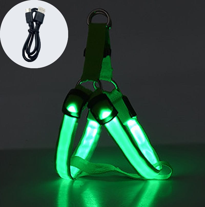 Revolight Luminous Dog Harness Chargeable Green / XS Luminous Dog Harness - Safe LED - Dog Harness - Pet Dog Accessories