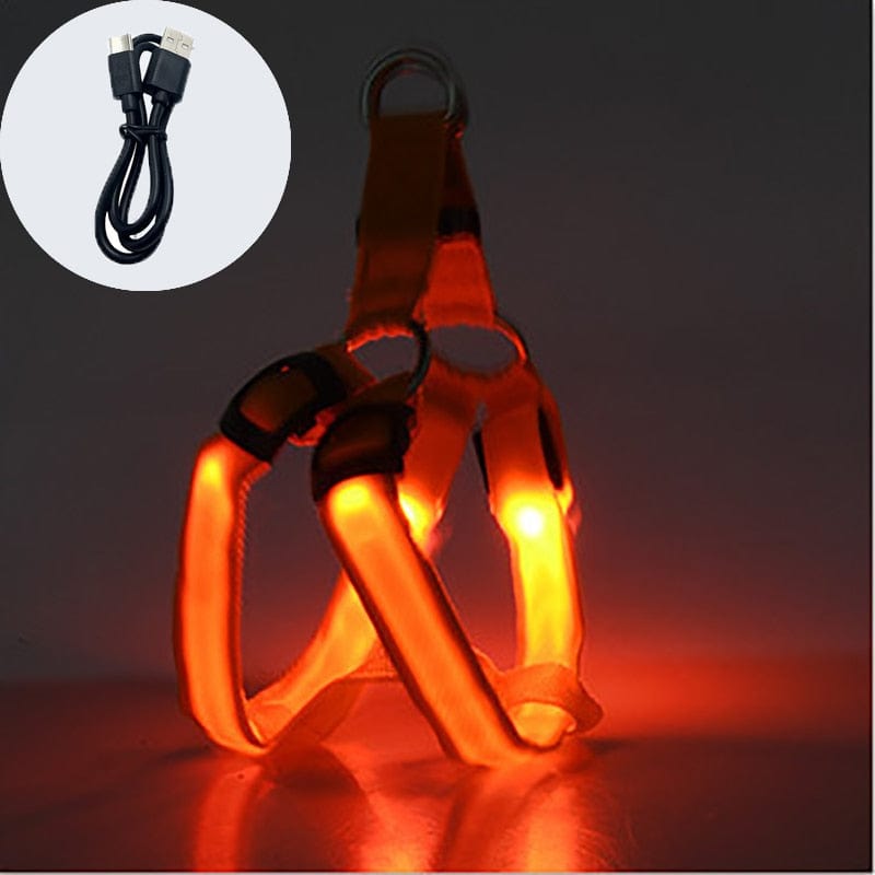 Revolight Luminous Dog Harness Chargeable Orange / XS Luminous Dog Harness - Safe LED - Dog Harness - Pet Dog Accessories