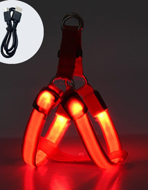 Load image into Gallery viewer, Revolight Luminous Dog Harness Chargeable Red / XS Luminous Dog Harness - Safe LED - Dog Harness - Pet Dog Accessories

