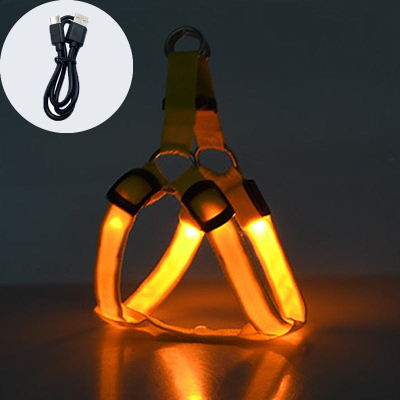 Revolight Luminous Dog Harness Chargeable Yellow / XS Luminous Dog Harness - Safe LED - Dog Harness - Pet Dog Accessories