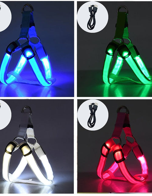 Load image into Gallery viewer, Revolight Luminous Dog Harness Luminous Dog Harness - Safe LED - Dog Harness - Pet Dog Accessories
